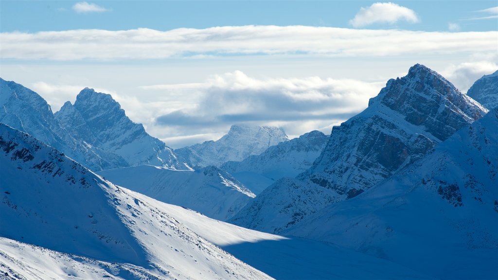 Jasper Tramway showing snow and mountains