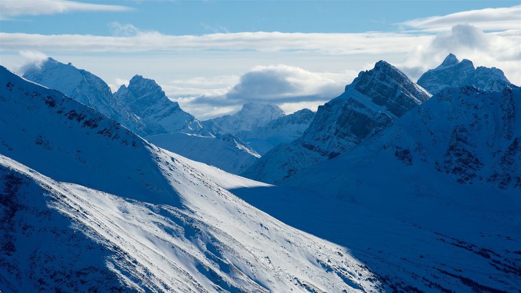 Jasper Tramway showing snow and mountains