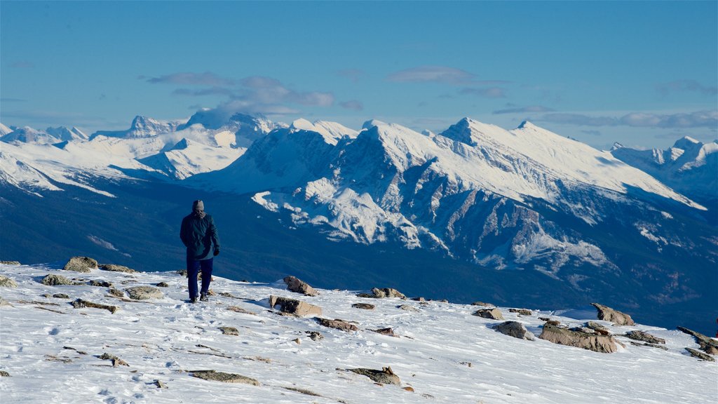 Jasper Tramway showing mountains, landscape views and snow