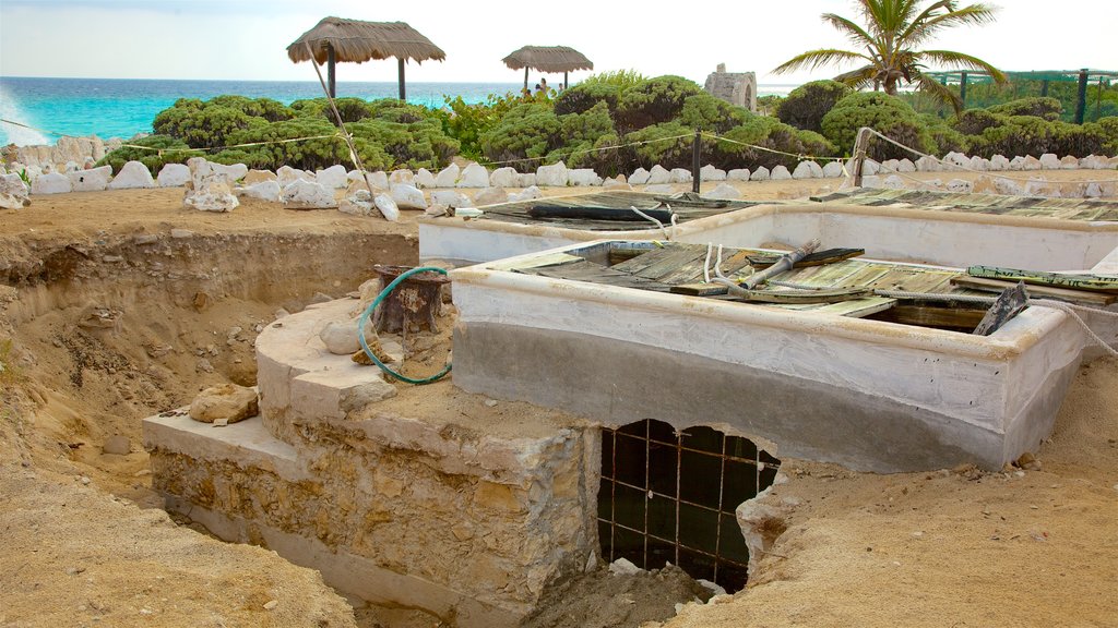 Punta Celerain Lighthouse showing a garden and general coastal views