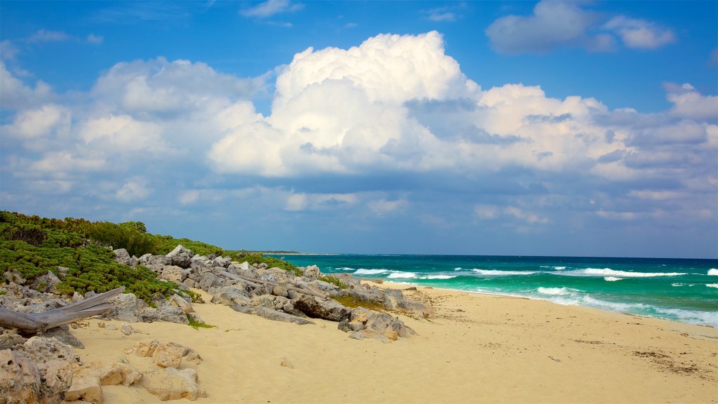 Parc écologique de Punta Sur montrant vues littorales et plage