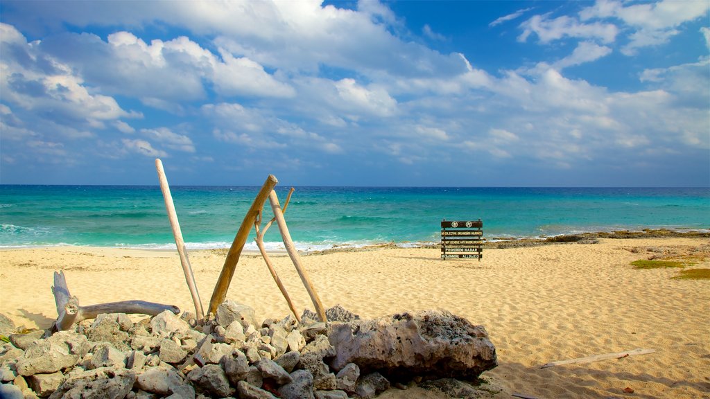 Punta Celerain Lighthouse showing a sandy beach and general coastal views