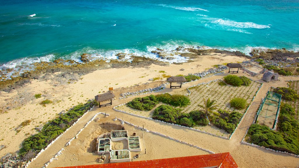 Faro de Punta Celarain que incluye una playa de arena, costa escarpada y vistas generales de la costa