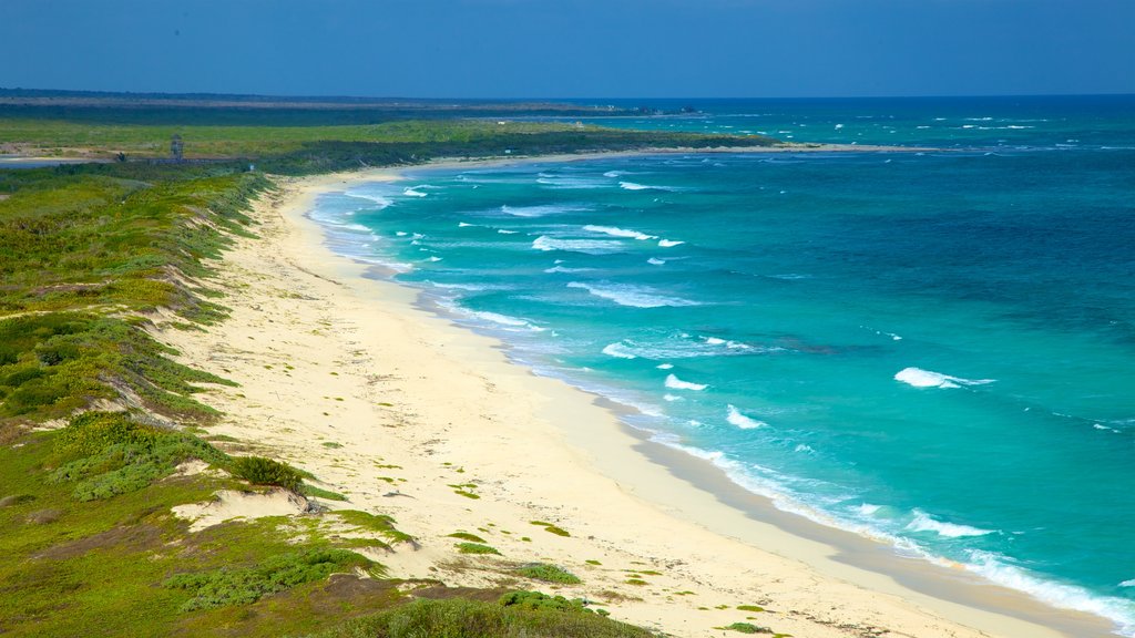 Farol de Punta Celerain mostrando ondas, paisagens litorâneas e uma praia de areia