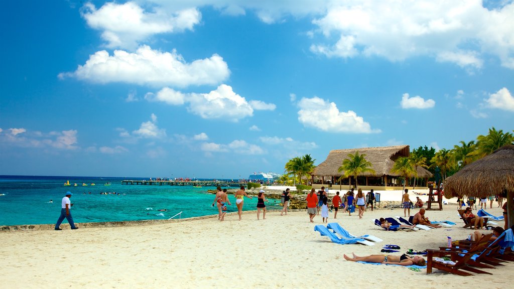 Cozumel mostrando una playa de arena, vista general a la costa y escenas tropicales