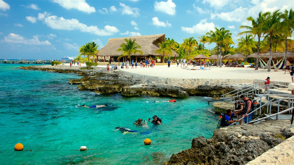 Cozumel menampilkan pantai berpasir, alam tropis dan garis pantai tak rata