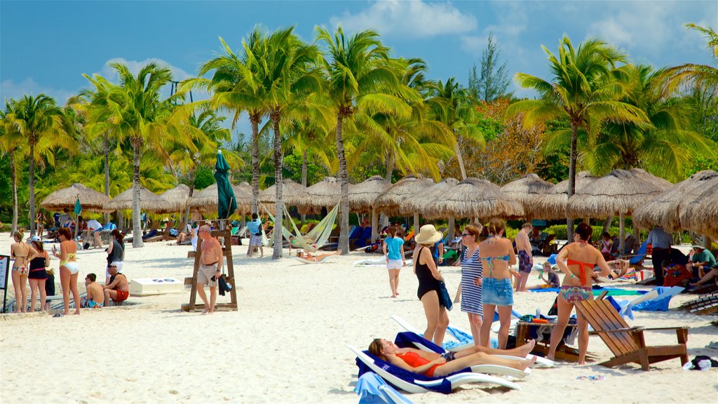 Cozumel showing a beach and tropical scenes as well as a small group of people