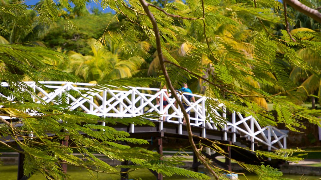 Josone Park que inclui uma ponte