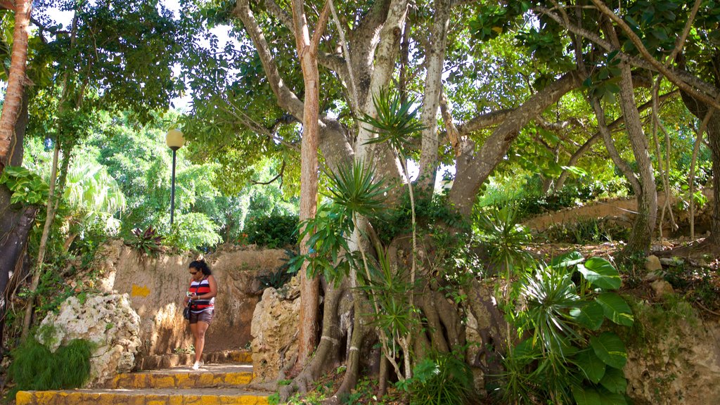 Josone Park showing a garden as well as an individual female