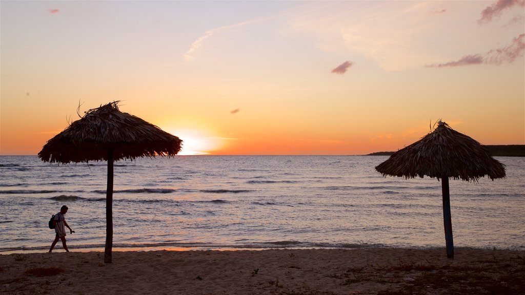 Rancho Luna Beach showing tropical scenes, general coastal views and a beach