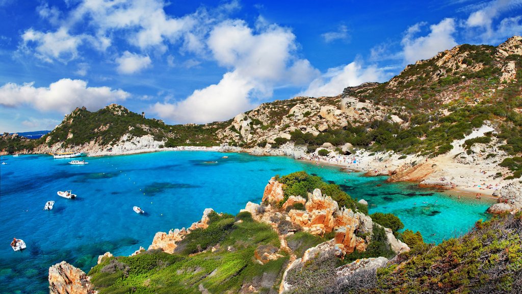 La Maddalena que incluye un lago o espejo de agua, escenas tranquilas y escenas tropicales