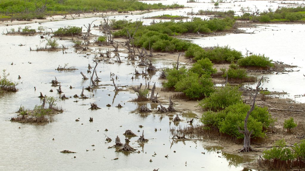 Parque ecológico Punta Sur ofreciendo un pantano