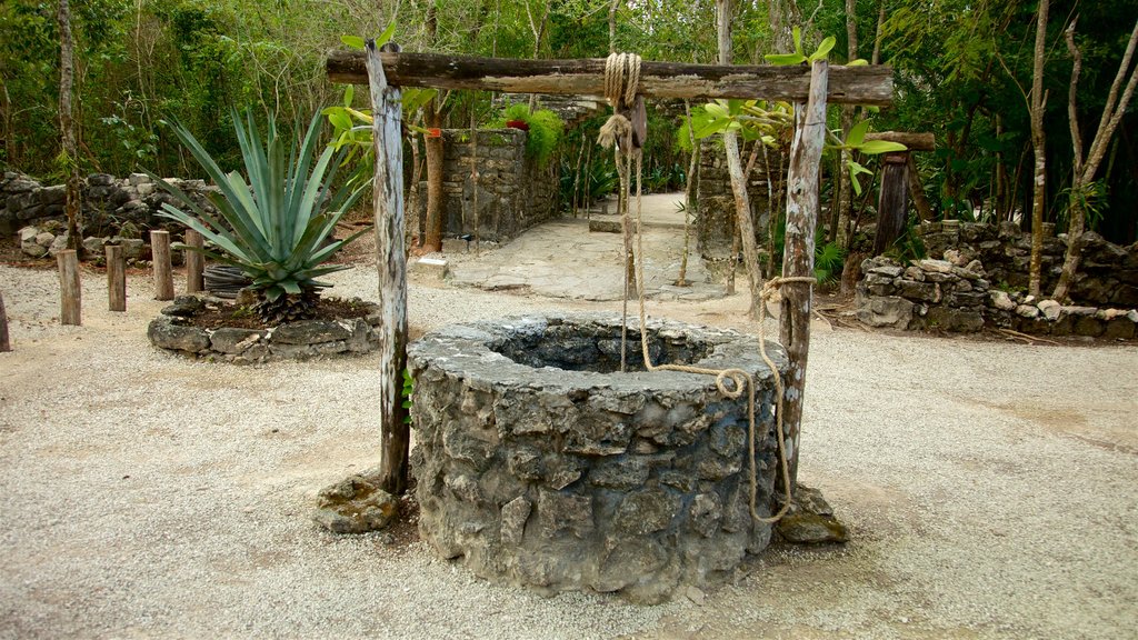 Parque Nacional Chankanaab mostrando un jardín