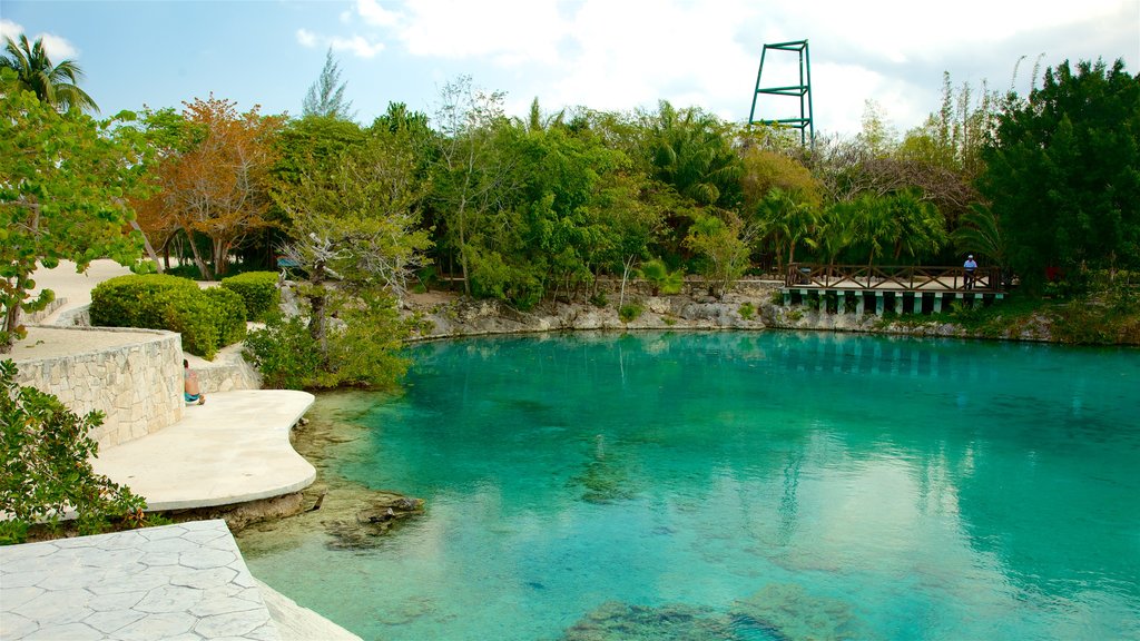 Taman Nasional Chankanaab menunjukkan kolam renang