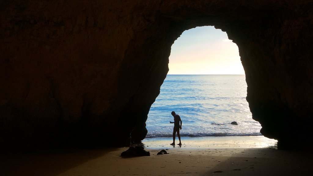 Praia Dona Ana caracterizando cavernas, uma praia de areia e paisagens litorâneas