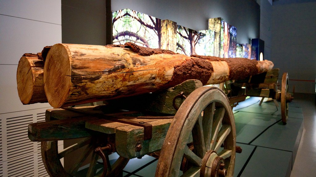 Museo de Portimão mostrando elementos del patrimonio y vistas interiores