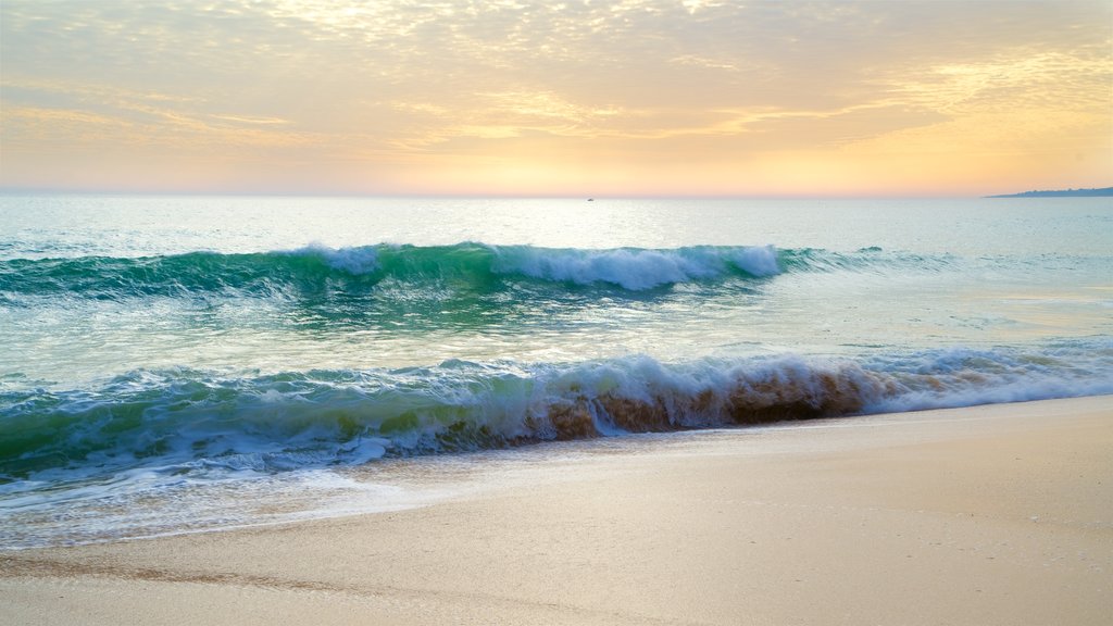 Praia da Falésia mostrando um pôr do sol, uma praia e paisagens litorâneas