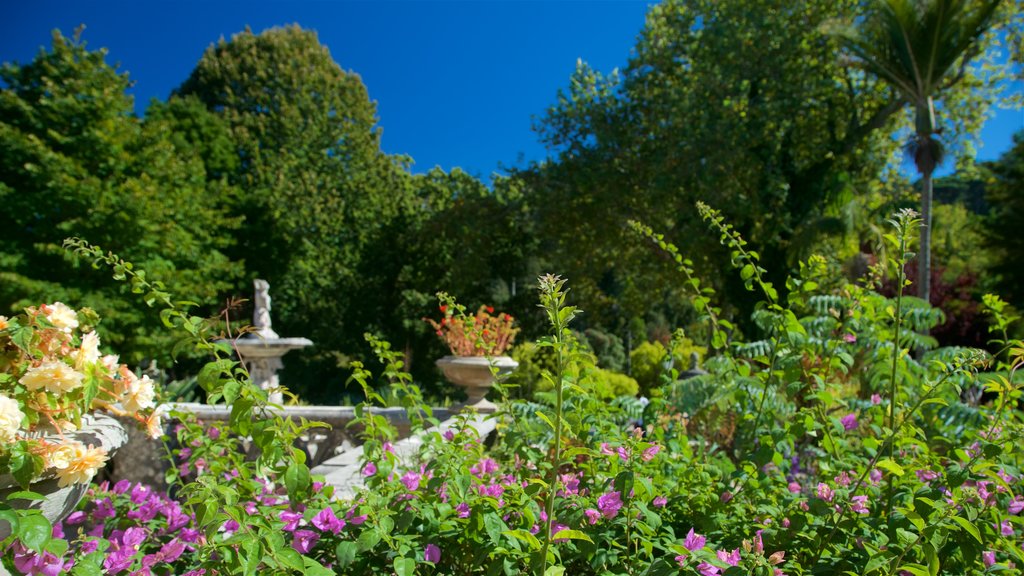 Monserrate Palace featuring a garden and wild flowers