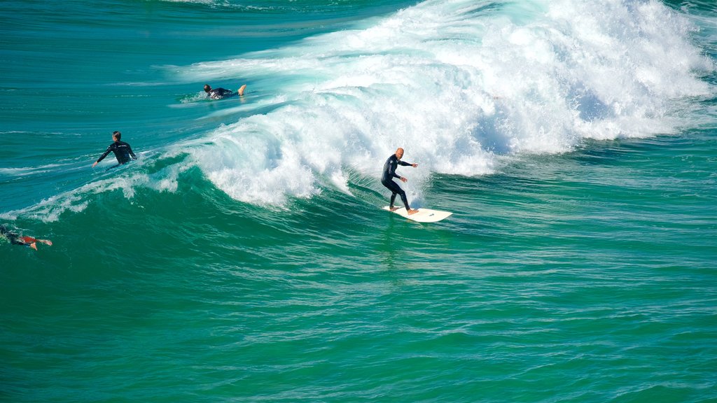 Tonel Beach featuring waves, surfing and general coastal views