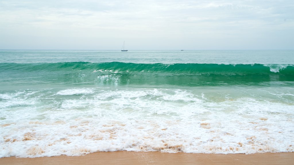 Marina Beach showing surf, general coastal views and a sandy beach