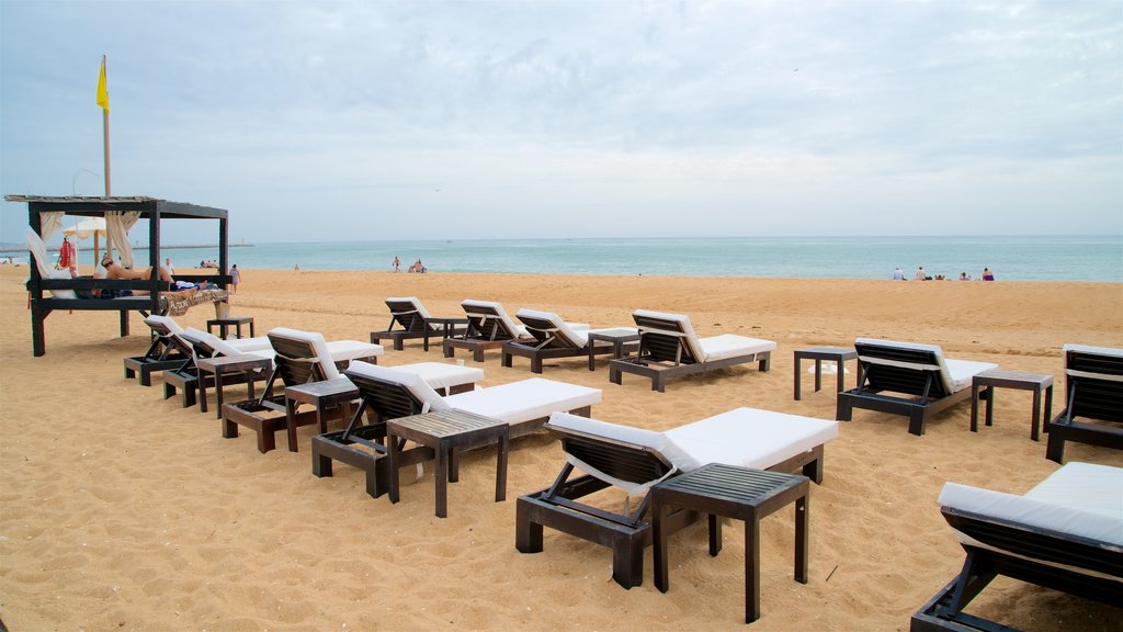 Marina Beach which includes a sandy beach and general coastal views