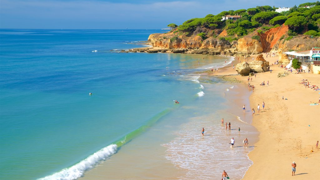 Plage d\'Olhos de Água mettant en vedette côte escarpée, plage de sable et vues littorales