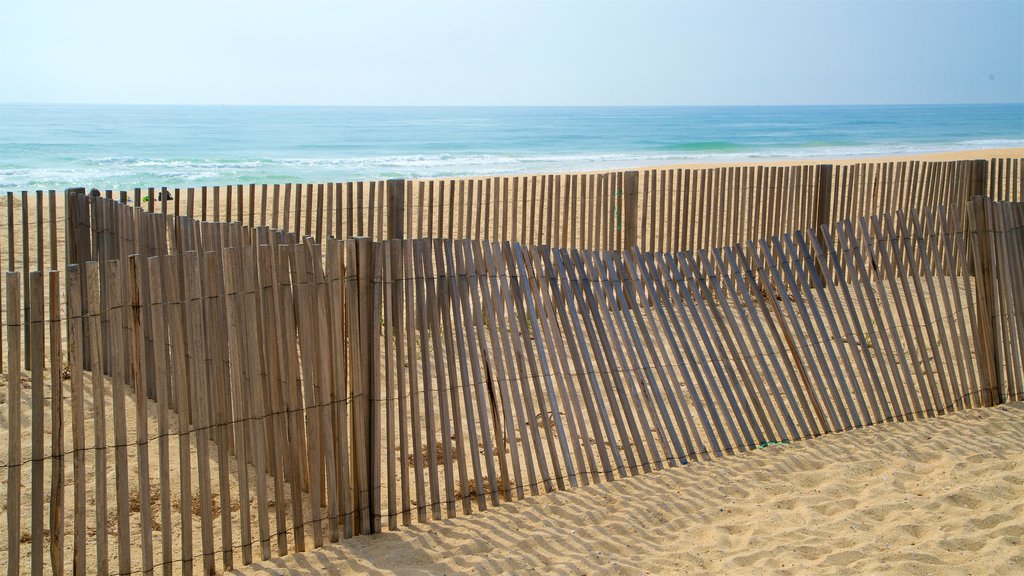 Fuzeta Beach which includes a beach and general coastal views