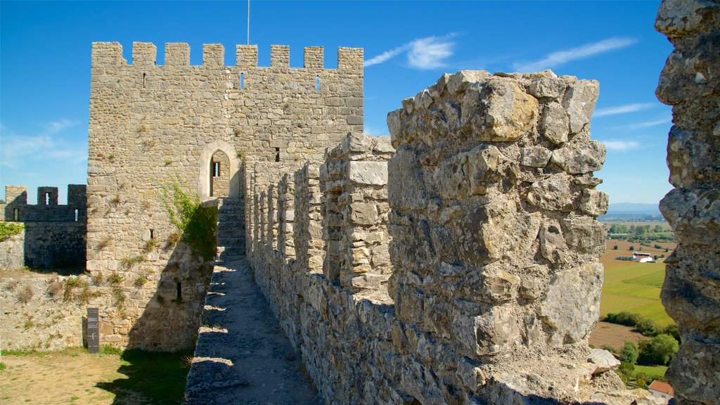 Castillo de Montemor-o-Velho ofreciendo castillo o palacio y elementos patrimoniales