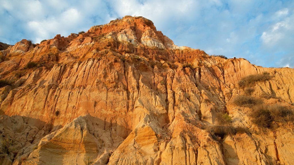 Falesia Beach showing rocky coastline