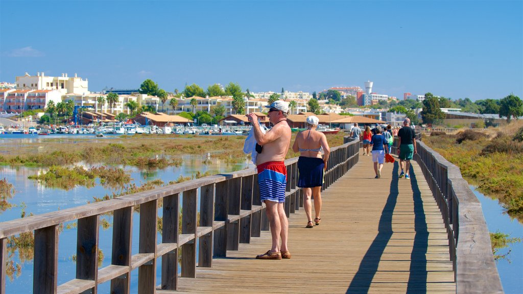 Alvor Beach which includes a river or creek and a bridge as well as a small group of people