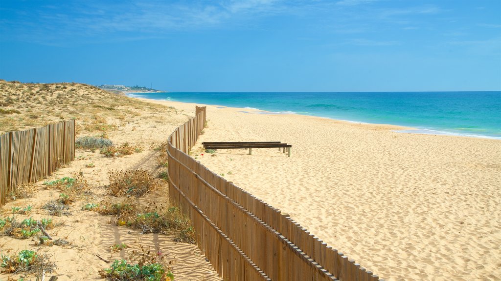 Salgados Beach showing a sandy beach and general coastal views