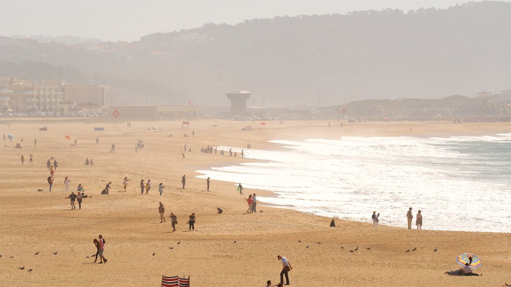 Playa de Nazaré que incluye vistas generales de la costa, una playa y neblina o niebla