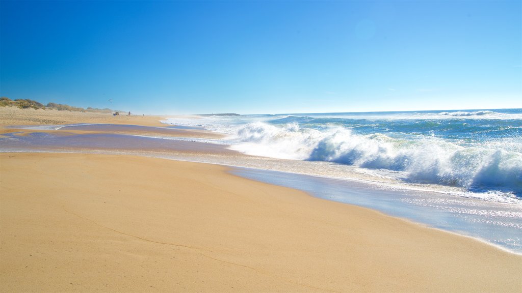 Costa Nova Beach which includes waves, a beach and general coastal views