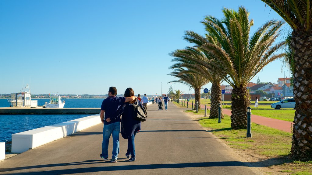 Costa Nova Beach featuring a bay or harbour as well as a couple