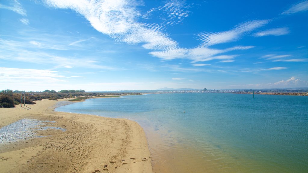 Ilha de Tavira-stranden som visar kustutsikter och en sandstrand