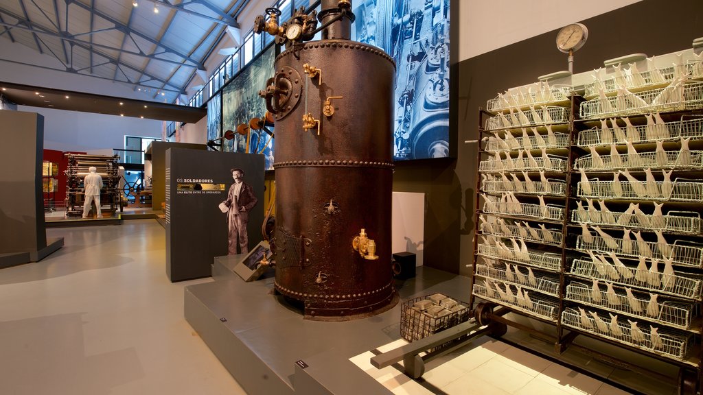 Museo de Portimão mostrando elementos del patrimonio y vistas interiores