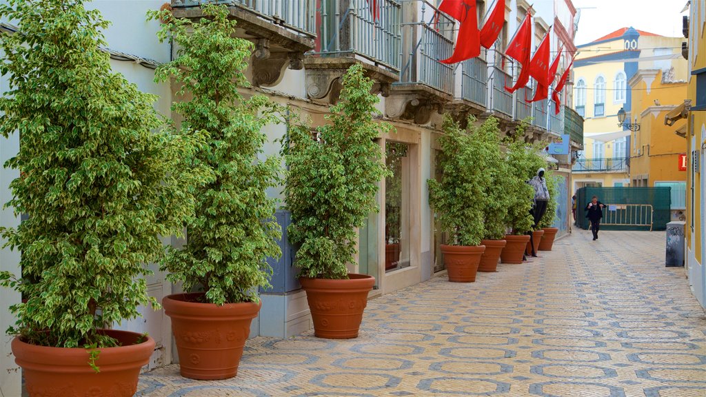 Casco antiguo de Faro