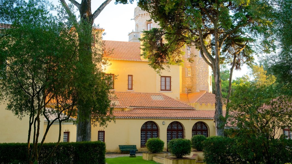 Gandarinha Municipal Park showing a garden