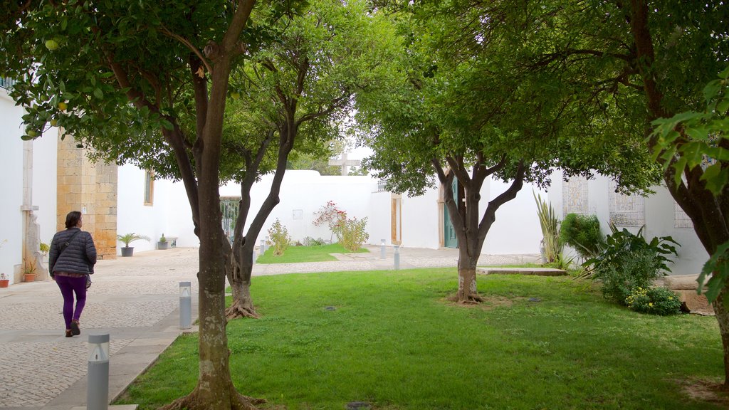 Faro Cathedral showing a garden