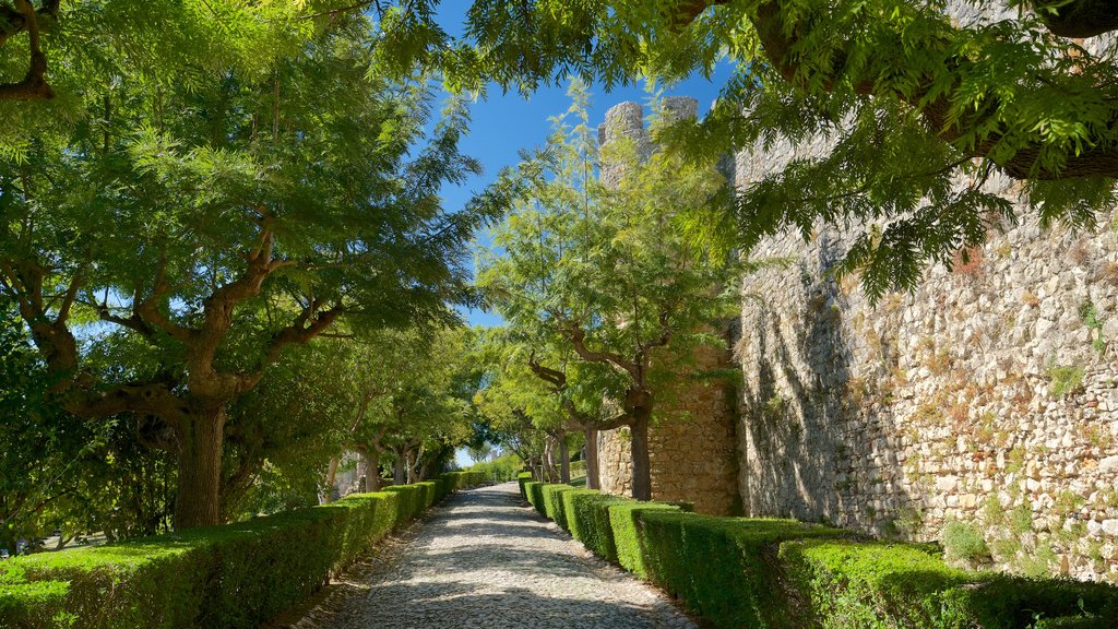 Montemor-o-Velho Castle featuring a garden