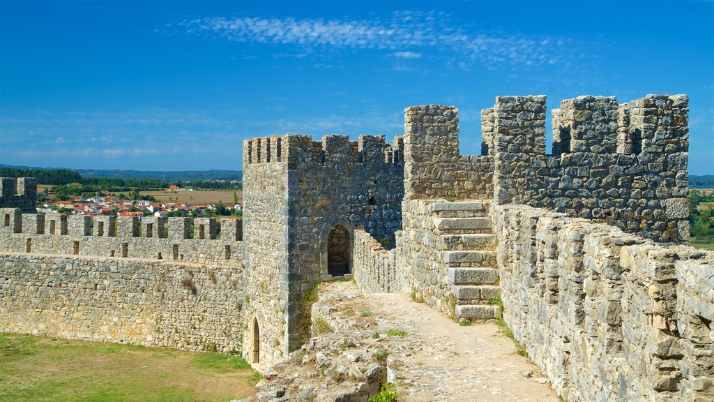 Castillo de Montemor-o-Velho que incluye elementos patrimoniales y un castillo