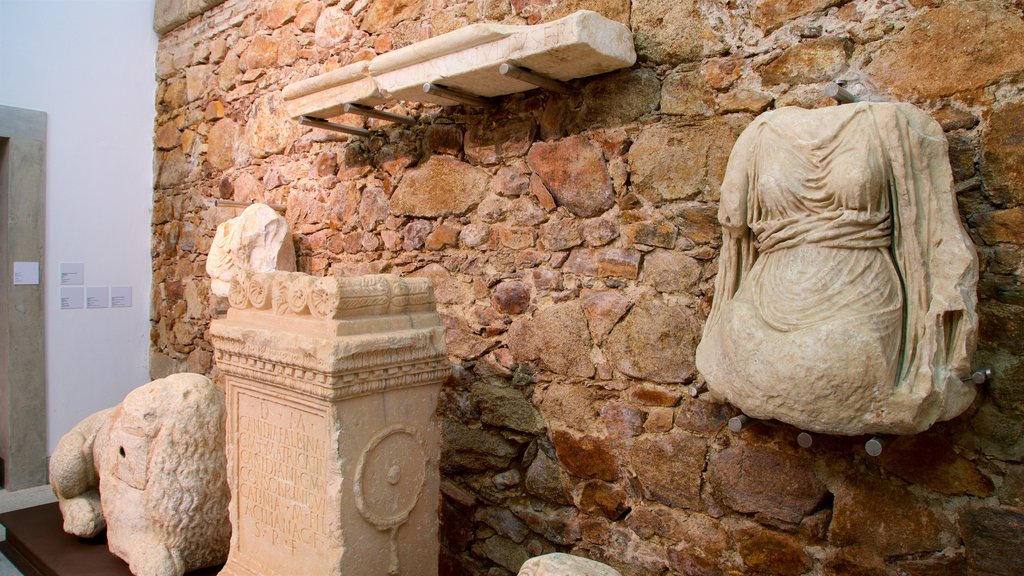 Museo de Évora mostrando elementos del patrimonio y vistas interiores