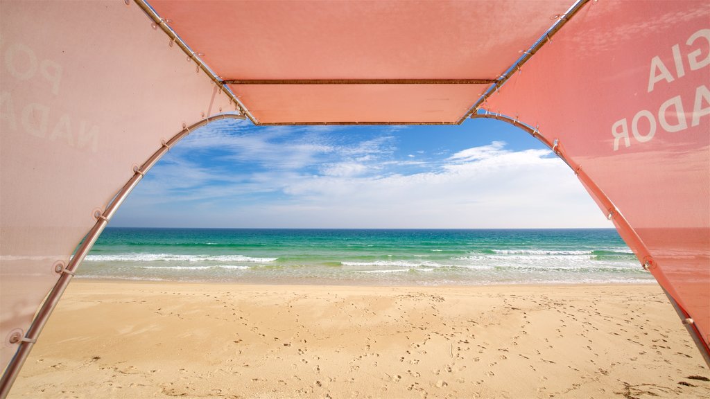 Terra Estreita Beach showing a sandy beach and general coastal views