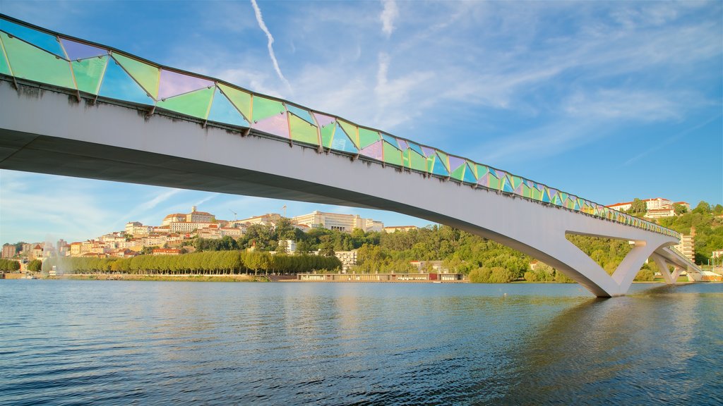 Pedro and Ines Footbridge featuring a bridge, a city and a river or creek