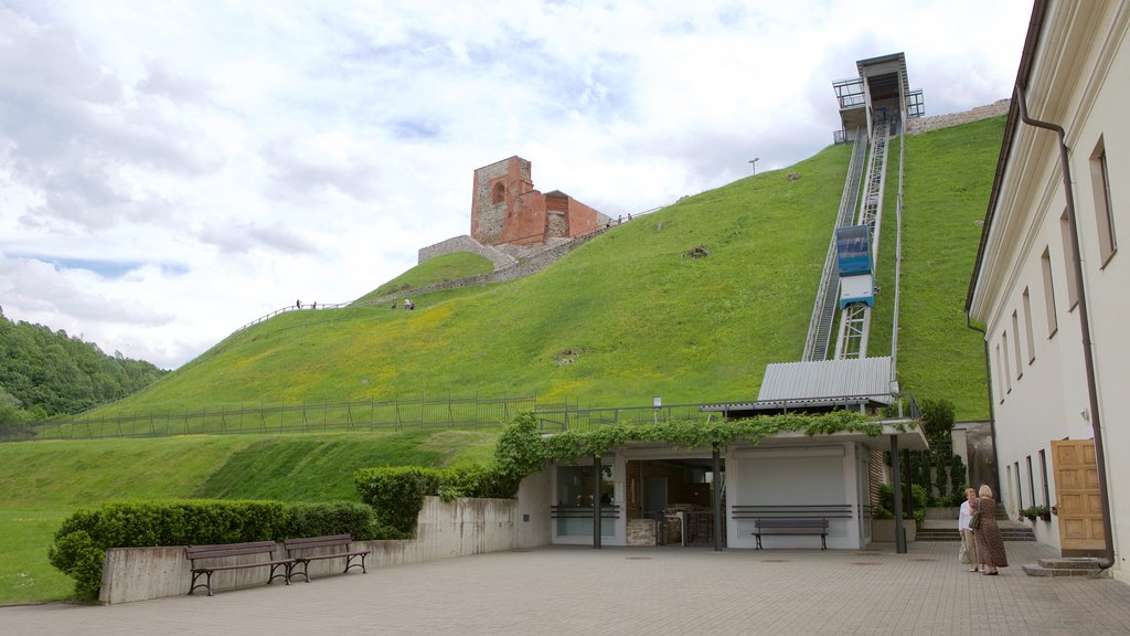 Gediminas Tower which includes a park and a square or plaza