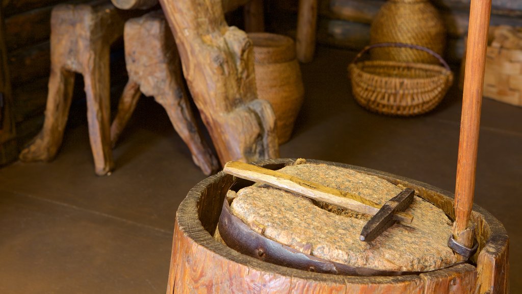 Nationaal museum van Litouwen inclusief interieur