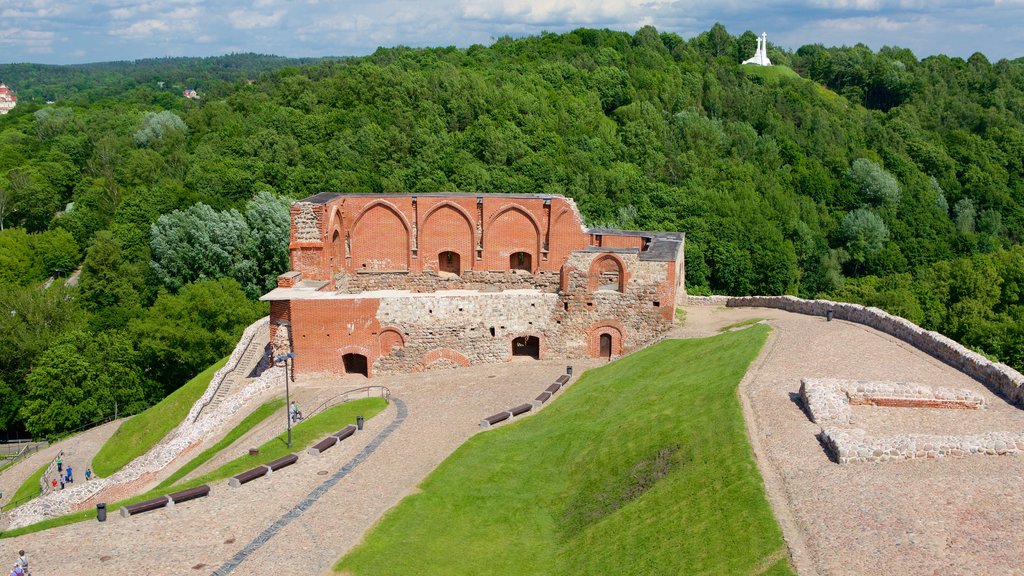 Upper Castle Museum que incluye vista panorámica, escenas tranquilas y arquitectura patrimonial