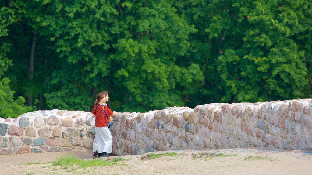 Upper Castle Museum mostrando vista y también niños