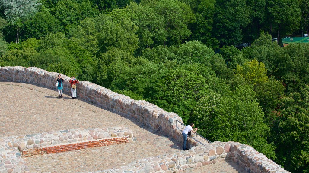 Upper Castle Museum featuring views