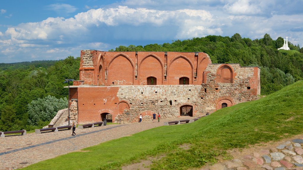 Upper Castle Museum showing heritage architecture